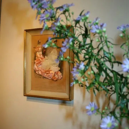 Au Lion D'or Panzió 3*