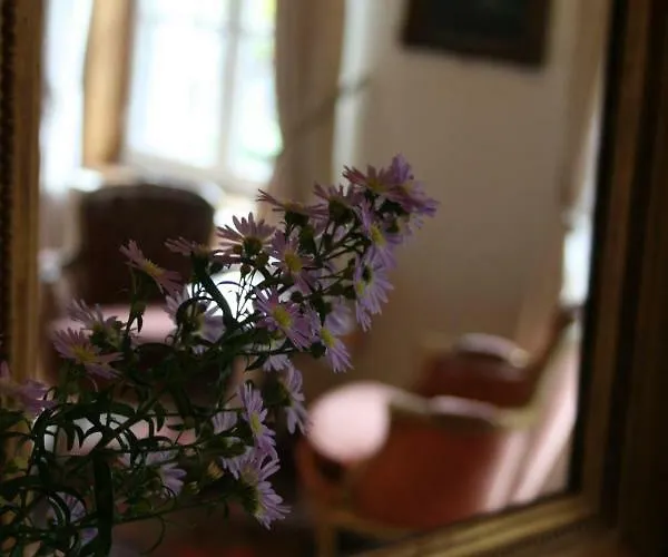 Bed & Breakfast Au Lion D'or