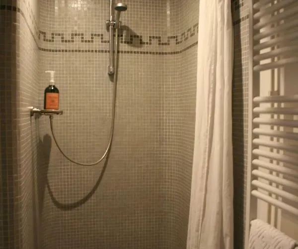 Au Lion D'or Bed & Breakfast