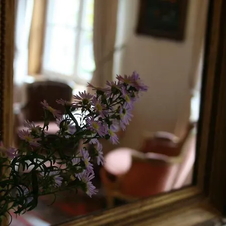 Bed & Breakfast Au Lion D'or