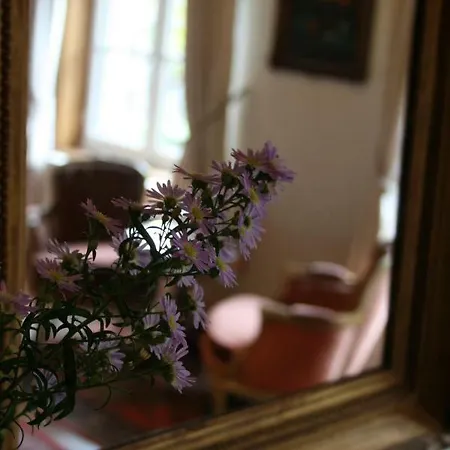 Bed & Breakfast Au Lion D'or