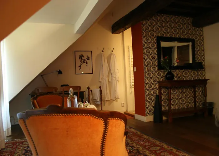 فندق مبيت وإفطار Au Lion D'or 3*