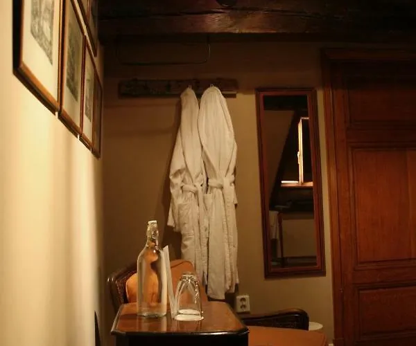 Au Lion D'or 3* ماسترخت